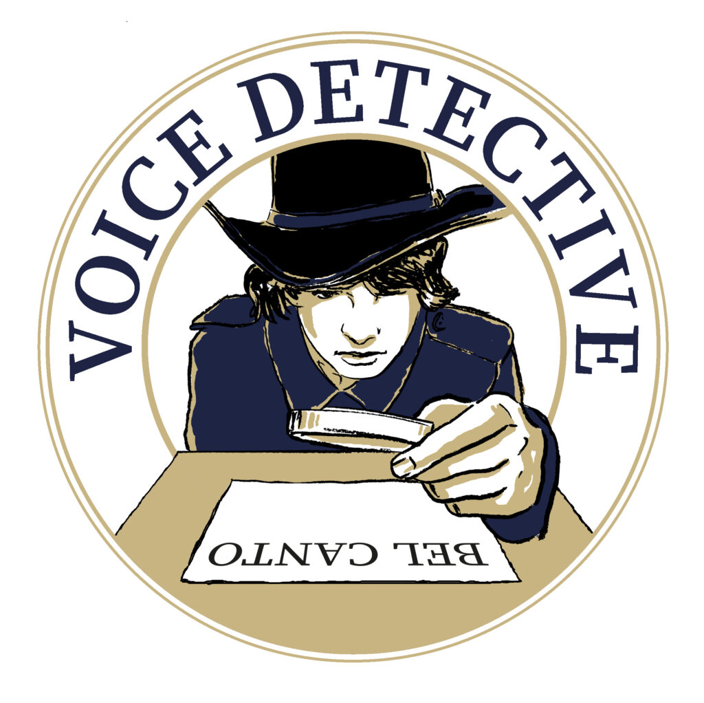 The Voice Detective Logo