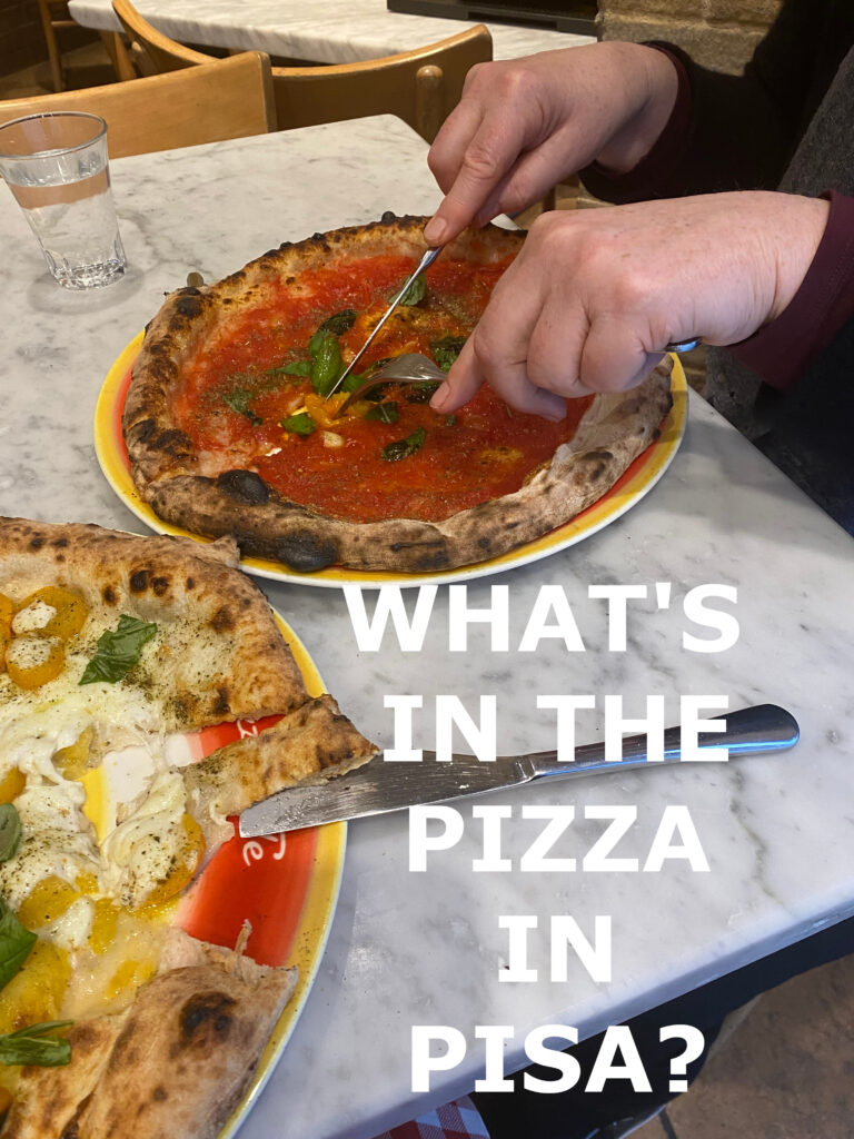 THUMBNAIL FOR WHAT'S IN THE PIZZA IN PISA